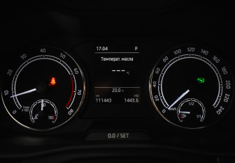 Подержанный автомобиль Skoda Rapid Liftback 2020 года (21 фото)