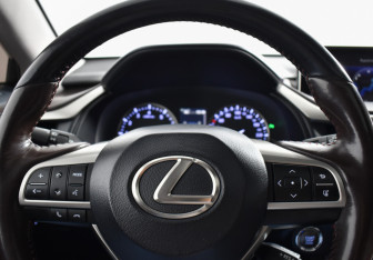 Подержанный автомобиль Lexus RX 2017 года (16 фото)