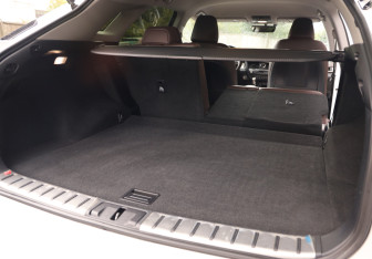 Подержанный автомобиль Lexus RX 2021 года (32 фото)