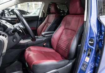 Подержанный автомобиль Lexus NX 2019 года (17 фото)