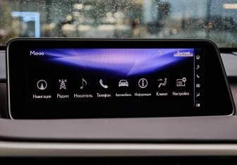 Подержанный автомобиль Lexus RX 2017 года (16 фото)