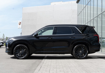 Новый Hyundai Palisade 2025 (10 фото)