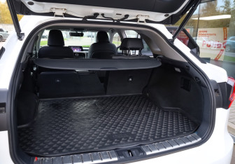 Подержанный автомобиль Lexus RX 2018 года (34 фото)