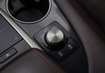 Подержанный автомобиль Lexus RX 2021 года (22 фото)