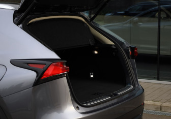 Подержанный автомобиль Lexus NX 2017 года (24 фото)