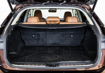 Подержанный автомобиль Lexus RX 2019 года (35 фото)