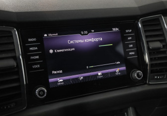 Подержанный автомобиль Skoda Kodiaq 2018 года (17 фото)