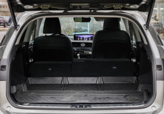 Подержанный автомобиль Lexus RX 2017 года (38 фото)