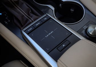 Подержанный автомобиль Lexus RX 2019 года (20 фото)