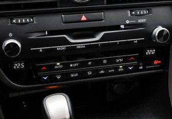 Подержанный автомобиль Lexus RX 2017 года (21 фото)