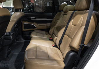 Подержанный автомобиль Kia Telluride 2022 года (12 фото)