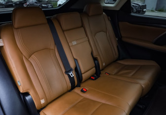 Подержанный автомобиль Lexus RX 2022 года (16 фото)