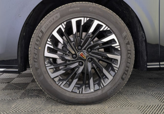 Новый Hongqi HQ9 2025 (7 фото)