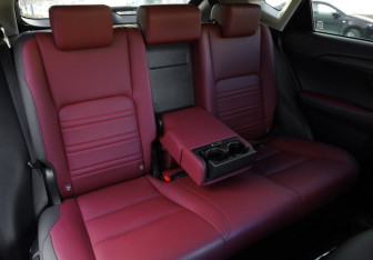 Подержанный автомобиль Lexus NX 2018 года (28 фото)