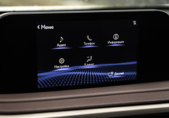 Подержанный автомобиль Lexus RX 2021 года (14 фото)