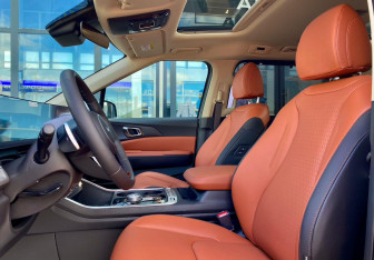 Новый Kia Carnival 2025 (37 фото)