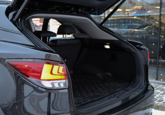 Подержанный автомобиль Lexus RX 2020 года (31 фото)