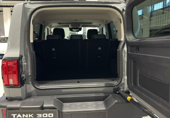 Новый Tank 300 2025 (8 фото)