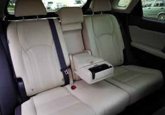 Подержанный автомобиль Lexus RX 2019 года (29 фото)