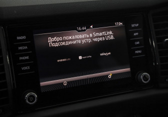 Подержанный автомобиль Skoda Kodiaq 2019 года (15 фото)