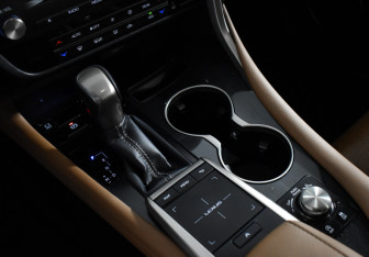 Подержанный автомобиль Lexus RX 2019 года (17 фото)