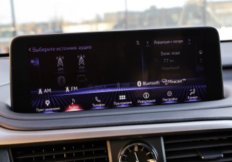 Подержанный автомобиль Lexus RX 2020 года (18 фото)