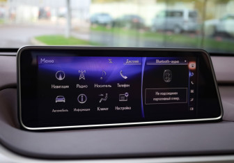 Подержанный автомобиль Lexus RX 2019 года (17 фото)