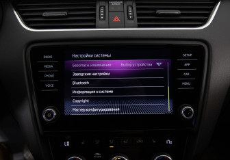Подержанный автомобиль Skoda Octavia Liftback 2019 года (21 фото)