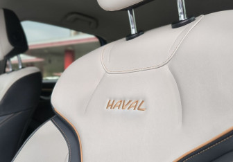 Подержанный автомобиль Haval Jolion 2022 года (19 фото)