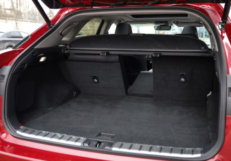 Подержанный автомобиль Lexus RX 2021 года (38 фото)