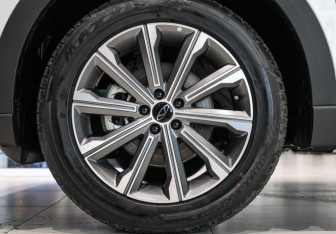 Новый Chery Tiggo 9 2025 (14 фото)