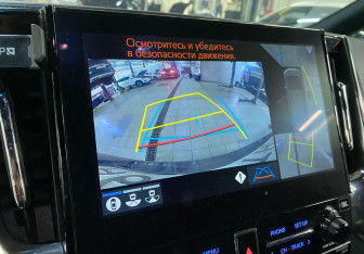 Подержанный автомобиль Toyota Alphard 2021 года (10 фото)