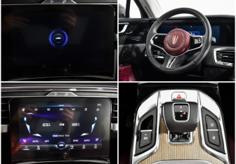 Подержанный автомобиль Hongqi E-HS9 2021 года (20 фото)