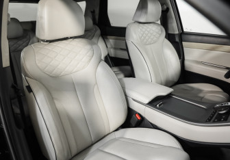 Подержанный автомобиль Hyundai Palisade 2020 года (29 фото)