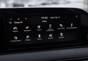 Подержанный автомобиль Hyundai Palisade 2020 года (18 фото)