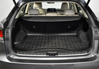 Подержанный автомобиль Lexus RX 2020 года (22 фото)