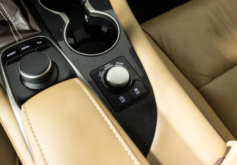 Подержанный автомобиль Lexus RX 2018 года (19 фото)