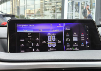Подержанный автомобиль Lexus RX 2019 года (17 фото)