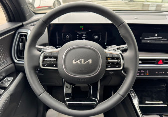 Новый Kia Sorento 2025 (27 фото)
