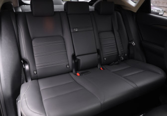 Подержанный автомобиль Lexus NX 2020 года (25 фото)
