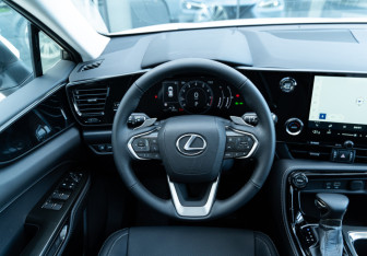 Новый Lexus NX 2025 (15 фото)