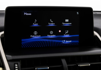 Подержанный автомобиль Lexus NX 2020 года (19 фото)