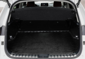 Подержанный автомобиль Lexus NX 2018 года (37 фото)