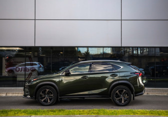 Подержанный автомобиль Lexus NX 2021 года (9 фото)