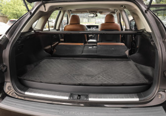 Подержанный автомобиль Lexus RX 2014 года (38 фото)