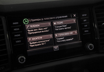 Подержанный автомобиль Skoda Kodiaq 2019 года (14 фото)