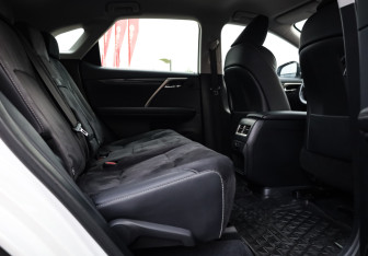 Подержанный автомобиль Lexus RX 2017 года (20 фото)