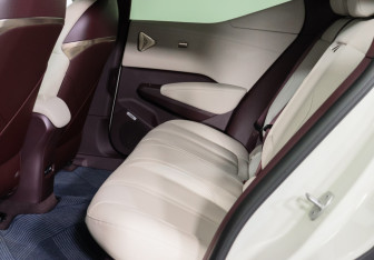 Подержанный автомобиль Zeekr X 2023 года (10 фото)