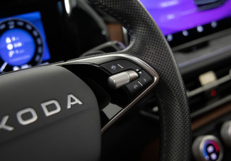 Подержанный автомобиль Skoda Kodiaq 2025 года (20 фото)