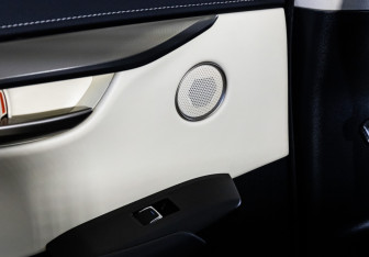 Подержанный автомобиль Lexus NX 2020 года (35 фото)